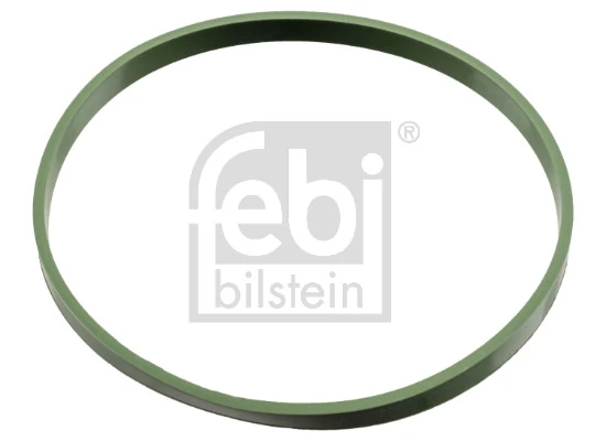 Seal Ring, throttle body